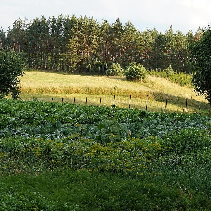 Warminskie Uroczysko Villa Rasząg Esterno foto